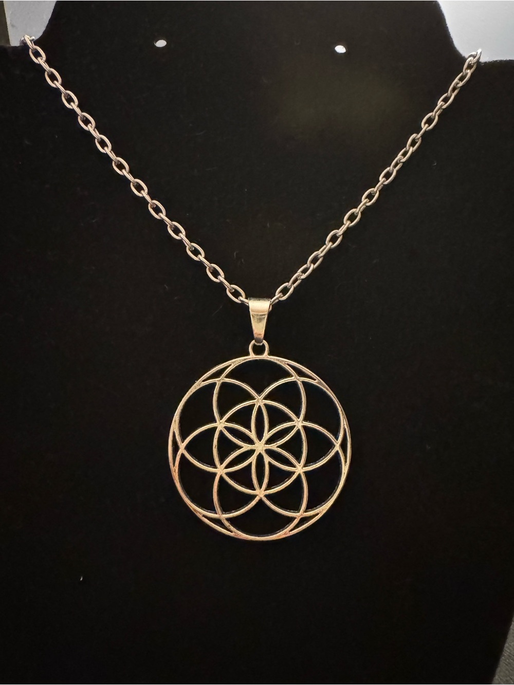 Sacred Geometry Silver Tone Pendant Necklace 23”